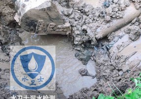 秦皇岛水管漏水检测公司5